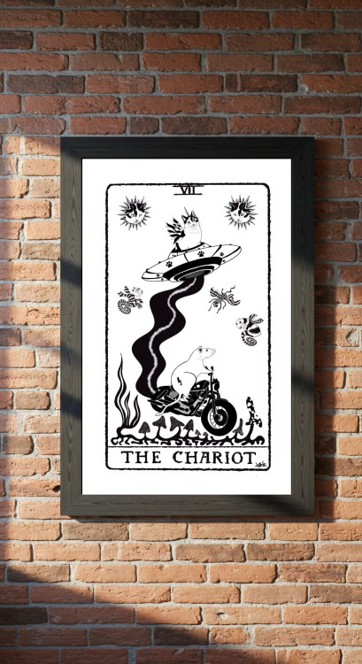 plakat-alternatywny-magia-okultyzm-kot-kosmita
