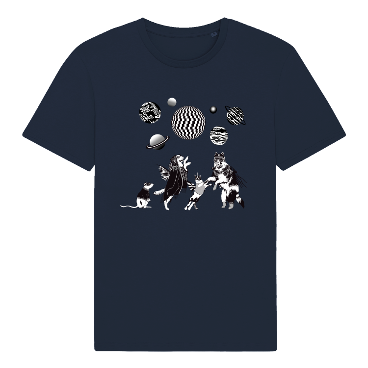 French Navy